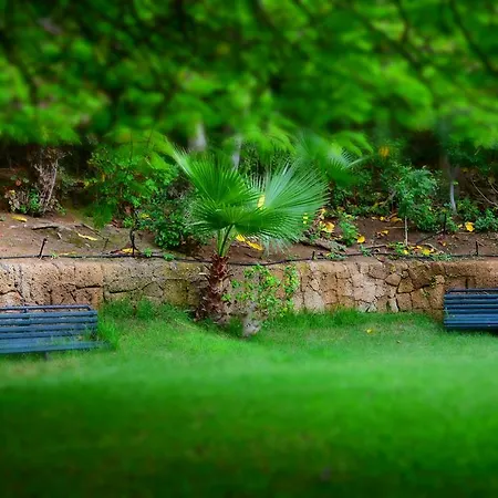 The Americas * Playa de las Américas