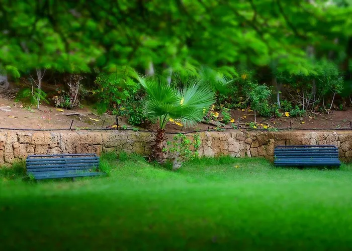 The Americas * Playa de las Américas